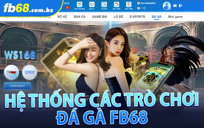 Hệ Thống Các Trò Chơi Đá Gà FB68